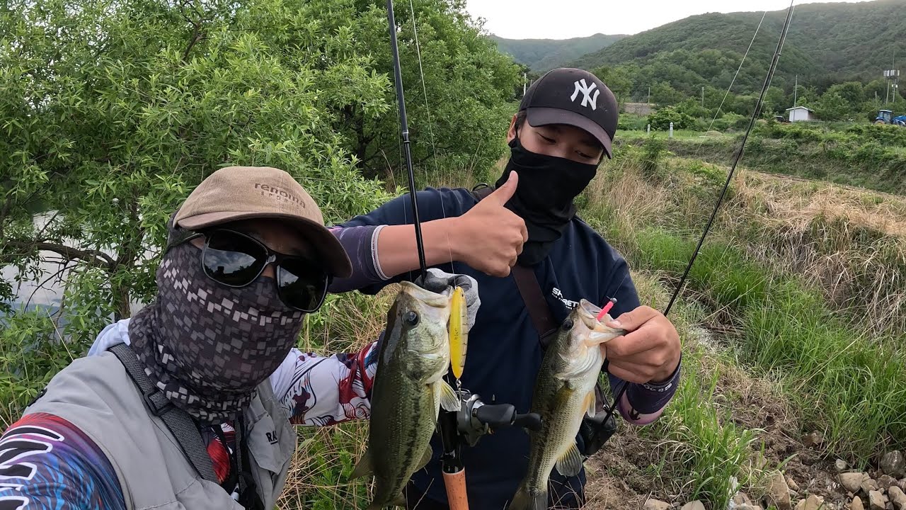 2025.05.18. Angler's Diary – Bass Fishing in Gyeongju Korea 봄비로 불어난 형산강 제끼고 동네 소류지 출조, 사이트 피싱으로 손맛 굿