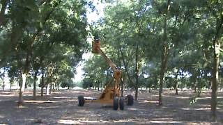 GVF Orbit Lift Pruning Tower