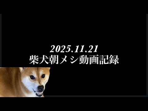 【柴犬飼い主55歳】柴犬の朝メシ動画記録。
