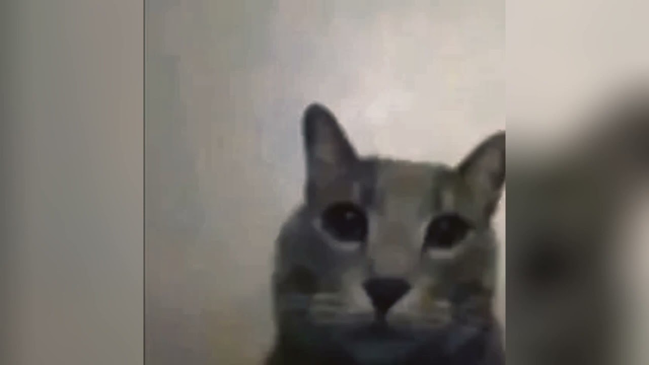 words - f.r. david (sped up)