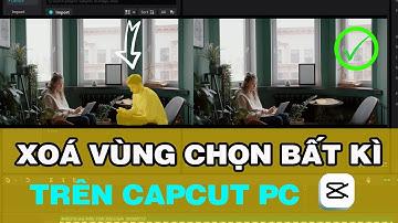 Xoá người, xoá vật thể bất kì trong video bằng capcut pc | ai remove