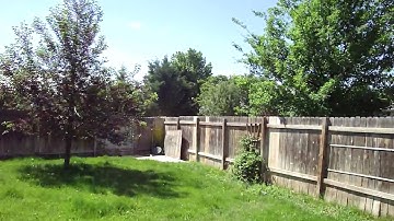 gloss red macdev droid