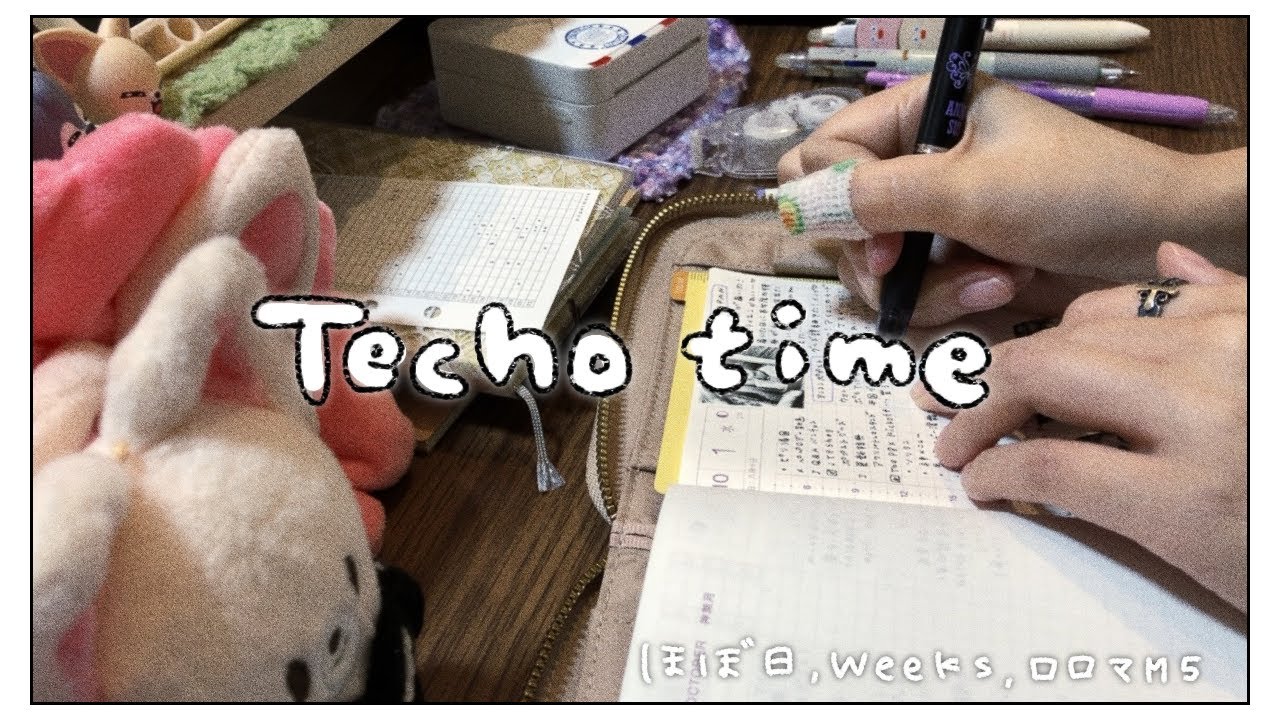 夜の手帳タイム🌙ほぼ日オリジナル追いついた✌🏻【ほぼ日手帳┊︎weeks┊︎ロロマクラシック】