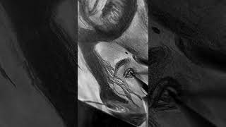 Bison 🥰#arrahman #anirudh #music #remix #movie