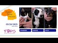 Mark's Furry Friends EXTRA | Whiskers, Marissa and Nicky | 3-20-2025