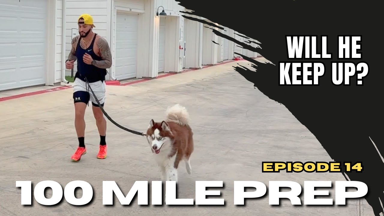 Scripture Proves It | There Is No Secret Rapture Coming