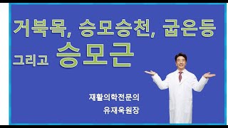 승모근푸는법, 승모근 강화법, 승모승천의 원인