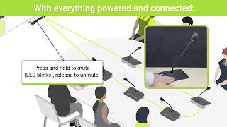 D-Cerno Ae - Ready To Use - Corporate