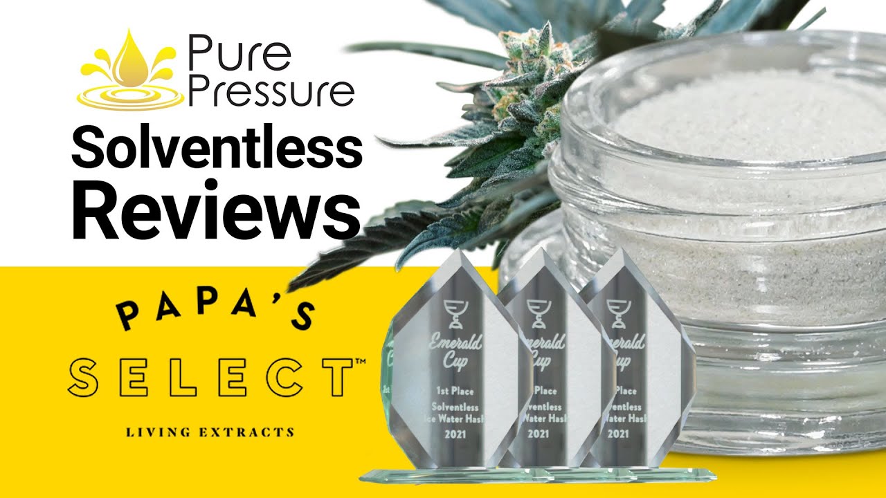 Solventless Reviews Ep8: Papa's Select Full Melt Ice Water Hash - YouTube