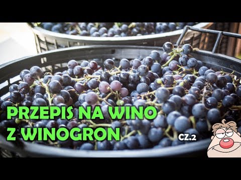 Wino Winogronowe (GRONOWE) cz.2 - odrzucanie owoców, przelewanie do słoja wielofunkcyjnego :)