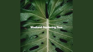 High Class Moods for Fine Fusion