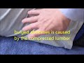 basics on spine