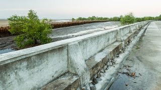 Mangroves : Reducing the Risk of Disaster through Nature-Based Solutions