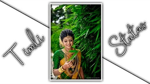 Ishwar Thakor Old  Timli Status 2021//  Old Dj Remix Timli Status  2021//Adivasi MP Timli Status