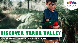 Discover BIG4 Yarra Valley Park Lane Holiday Park Accommodation Fun for Kids Wineries Food