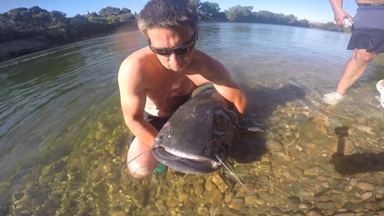 Big Cat Fishing Ebroasis Fishing & Outdoor YouTube