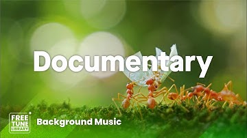 Insect Wonder Work - Documentary Background Music No Copyright