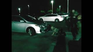 Vehicle search - narcotics detection