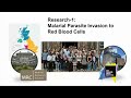 CRISPR Transfection Nucleofector Technology for Efficient Genome Editing