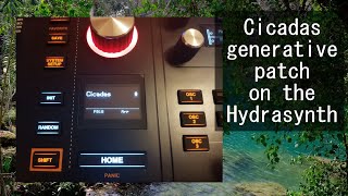Famous Cicadas - generative patch on the Hydrasynth Net Worth
