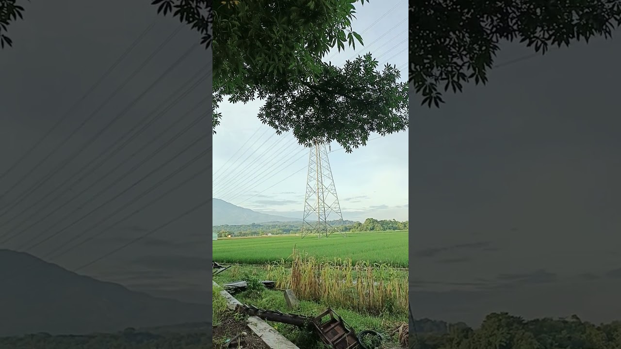 Small progress today leads to big wins tomorrow. Stay focused and move forward. 