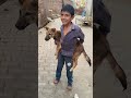 कुत्ते के साथ मस्ती #कुत्ता #new #vlog #funny #comedy