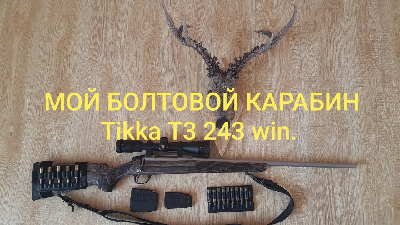 28 ноября 2022 г.