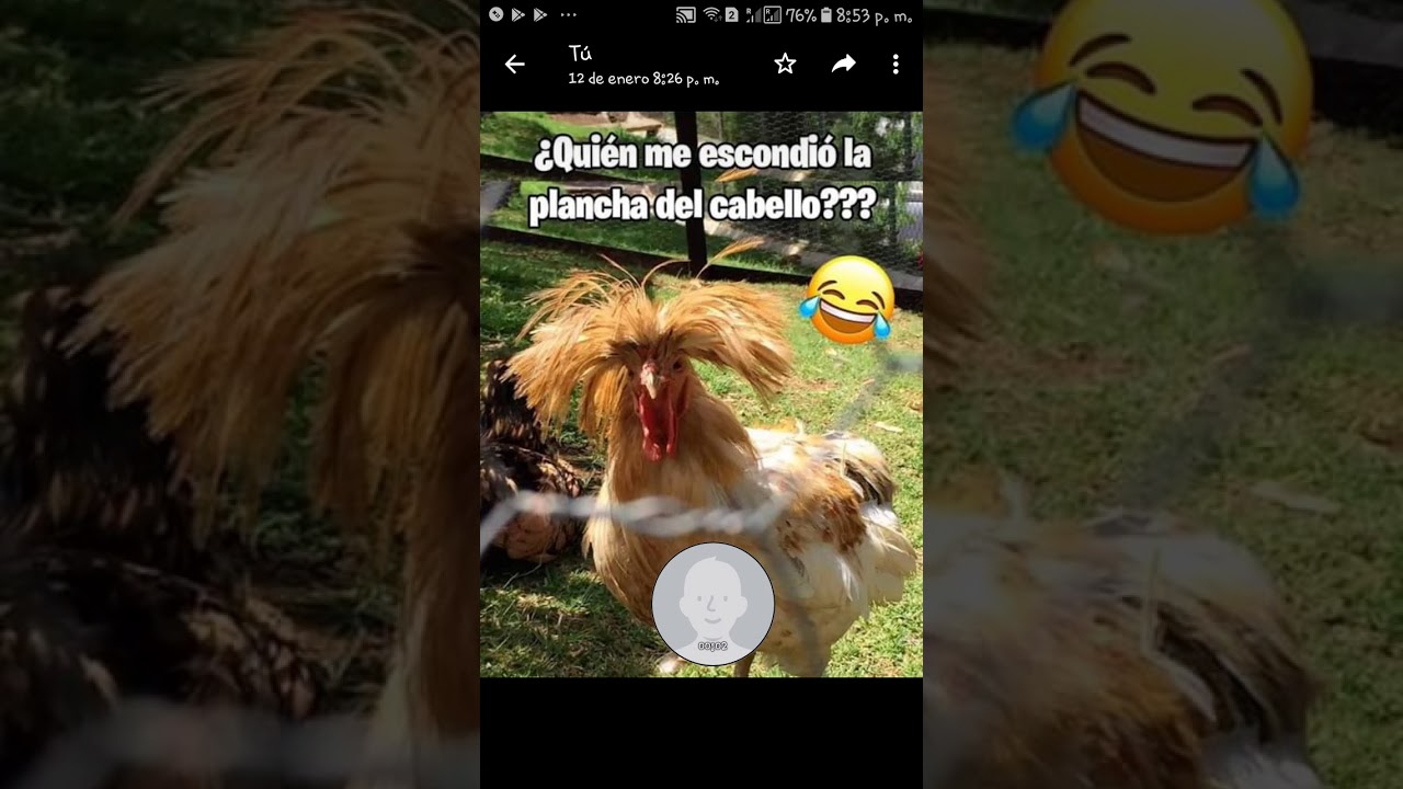 Cosas chistosas - YouTube