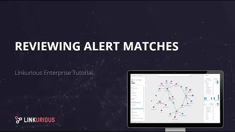Linkurious Enterprise Tutorial - Reviewing Alert Matches