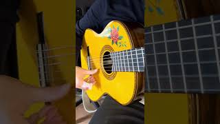 Paso Doble on Acoustic Guitar – Spanish Flamenco Easy Lesson