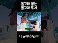 돌고래 없는 돌고래 투어