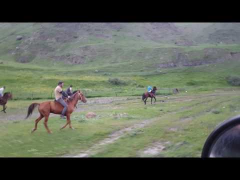 ყაზბეგი ბიბი  25.06.2017