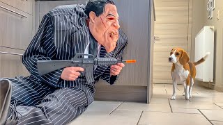 Funny Puppies  Get Pranked with Scary Villain Halloween Costumes!