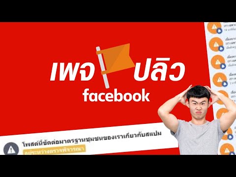 เพจปลิว โดนบล๊อค ขัดมาตรฐานชุมชน Facebook