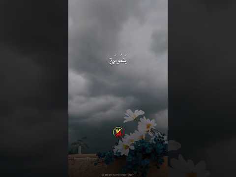 قالوا يا موسى انا لن تلاوة خاشعة ومؤثرة الشيخ عز العوامي  قرآن تلاوة خاشعة عز العوامي