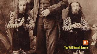 Tom Fleming - Circus Geeks and Sideshow Freaks Net Worth