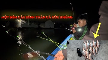 Câu cá tra sông/một đêm câu cá trên bè đụng độ cá cóc khủng