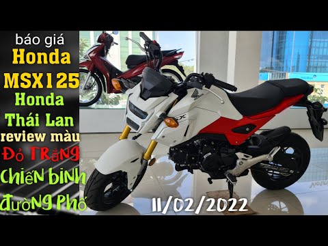 Video Báo giá và review MSX 125 đến từ Honda Thái Lan mới... - youtube