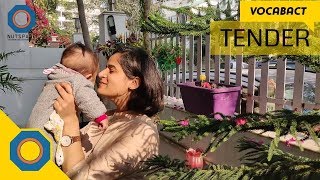 Tender Meaning | VocabAct | NutSpace
