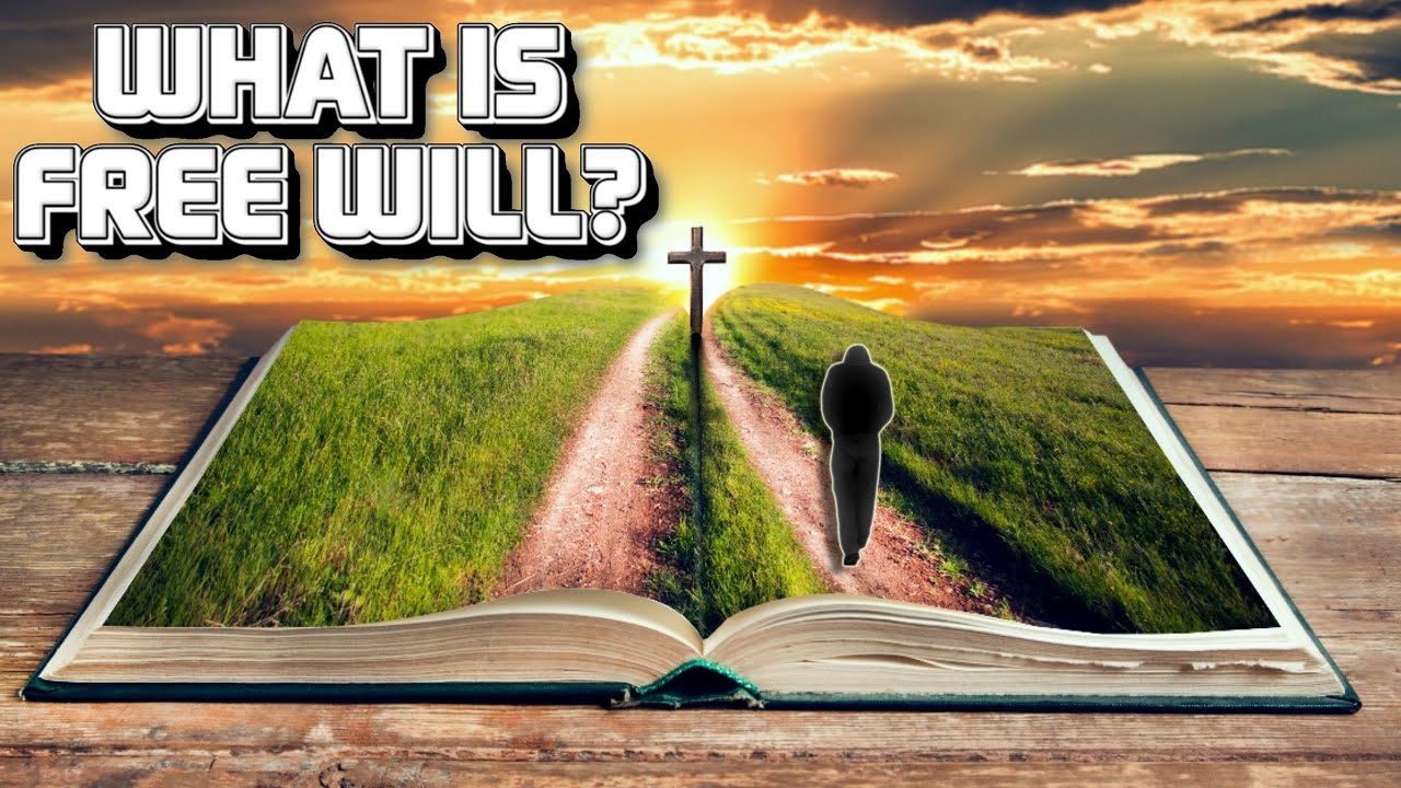 What Is FREE WILL? (BIBLE TEACHING)