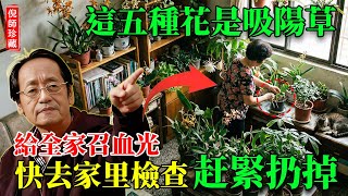 Download Lagu 倪海廈：陽氣被吸乾，家破人亡只因這盆花！家裡養這5種「吸陽草」，就是給全家招血光！快去客廳檢查，有就趕緊扔！#倪海厦 #居家風水 #陽氣 #經方 #破財風水 #破财 #招灾 #植物风水 MP3
