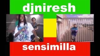 djniresh ft punky donch  sensimilla
