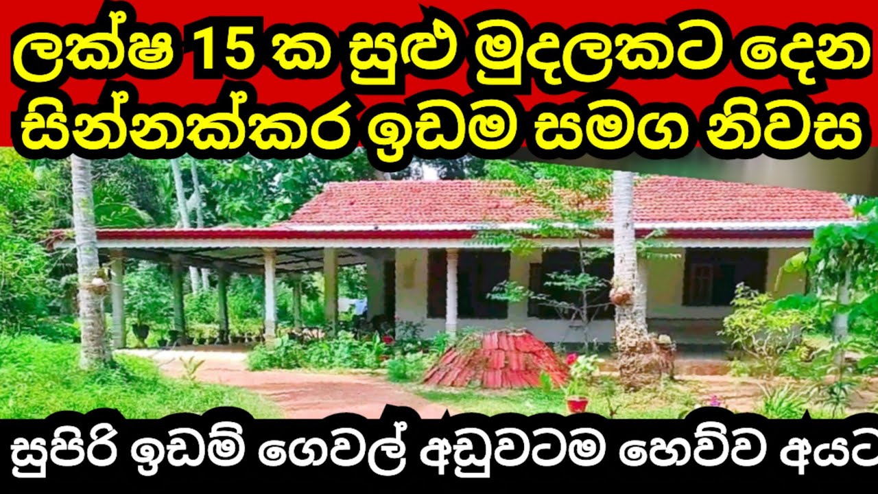 ලක්ෂ 15 කට ඉතාමත් ඉක්මණින් විකුණන නිවස හා ඉඩම | Aduwata idam | Coconut land | Land for sale | idam