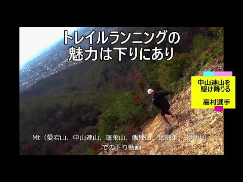 ホウライ カガミ 増やし 方