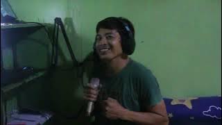 Palahubog parody song bisaya