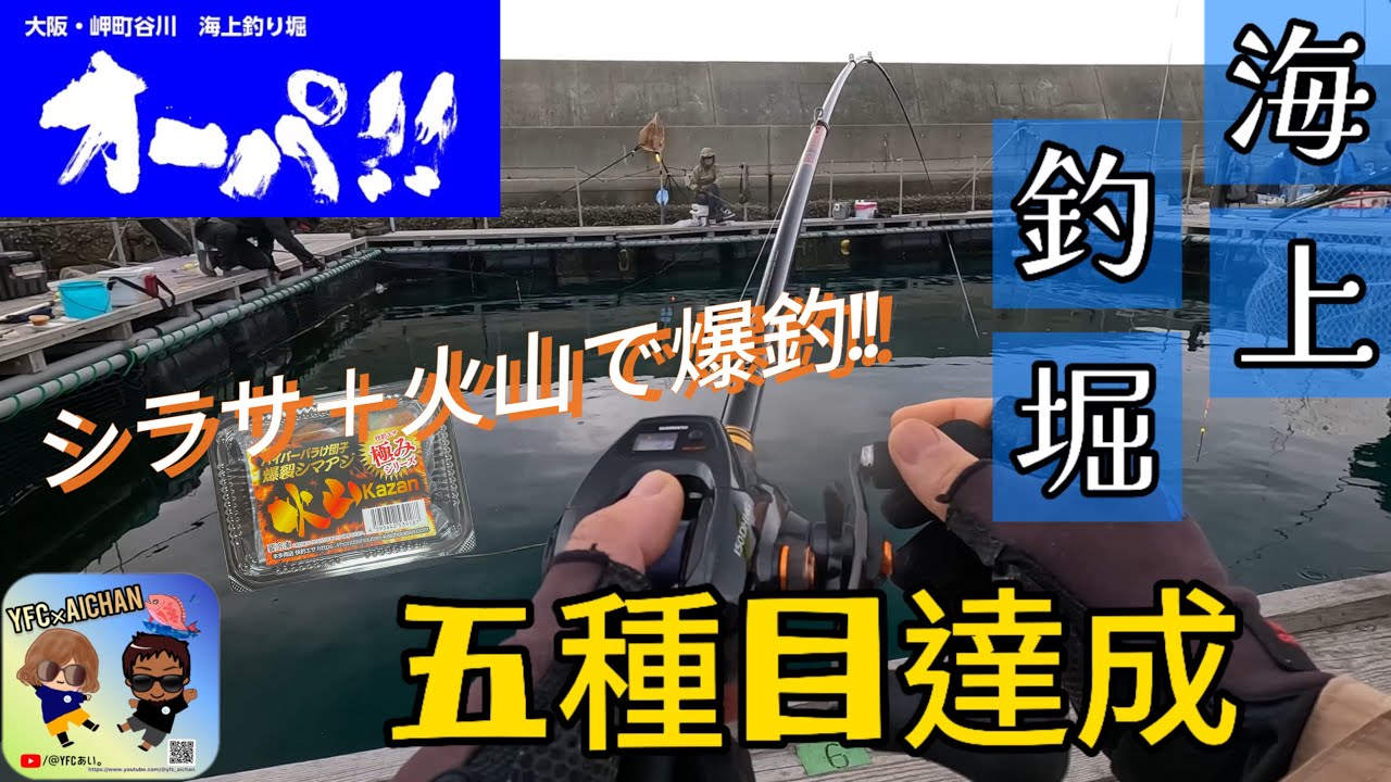 海上釣り堀オーパ!!で　ついに5種目達成🌈#fishing #釣りガール #海上釣堀
