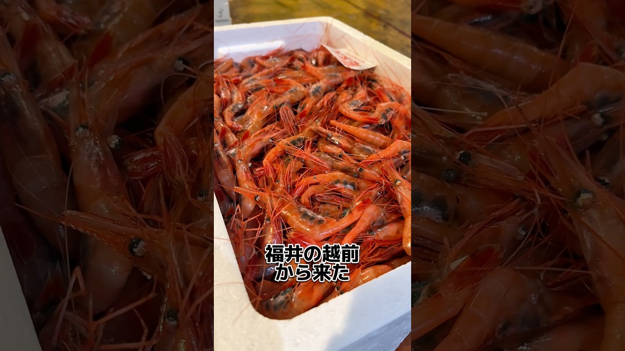 Echizen sweet shrimp from Fukui Prefecture! Let's eat! Posted on