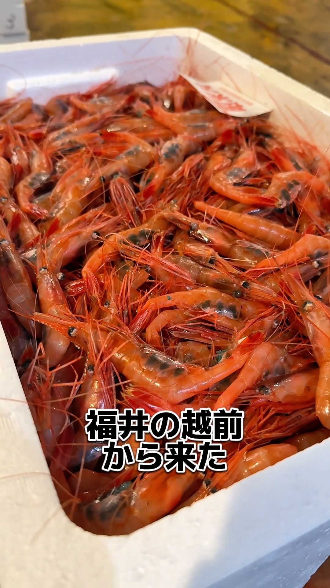 Echizen sweet shrimp from Fukui Prefecture! Let's eat! Posted on