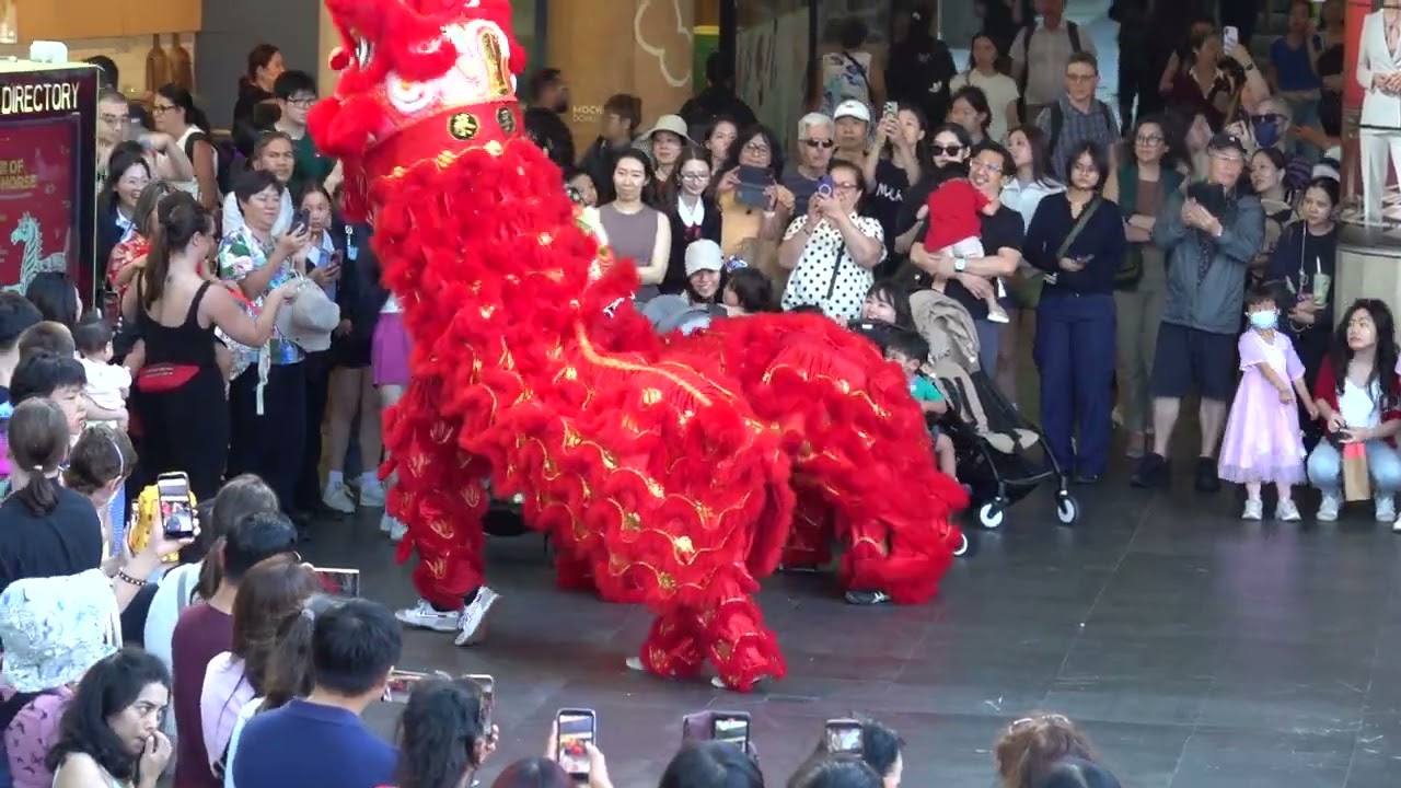 2026 0217 - Part of @CLFSydney (Choy Lee Fut) Chatswood Interchange Lunar New Year Performance NSW