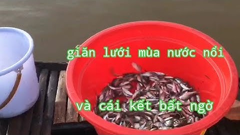 Giăng Lưới Cá Mùa Nước Nổi Và Cái Kết Bất Ngờ#NétQuêAnGiang